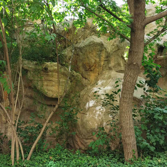GRC山石局部
