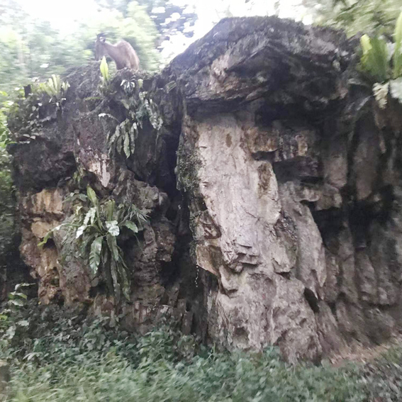 GRC置石景观